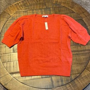 Short puff sleeve Madewell sweater